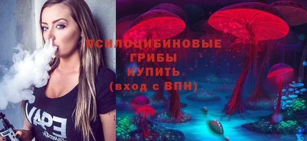 ГАЛЛЮЦИНОГЕННЫЕ ГРИБЫ Кинешма