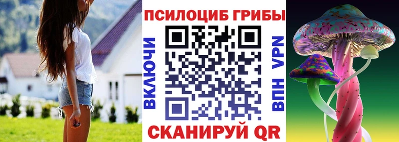 Купить закладки  Трубчевск  Галлюциногенные грибы GOLDEN TEACHER 